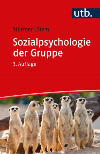 Stefan Stürmer, Birte Siem: Sozialpsychologie der Gruppe