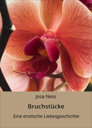 Josa Ness: Bruchstücke