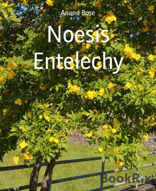 Anand Bose: Noesis Entelechy