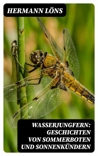 Hermann Löns: Wasserjungfern: Geschichten von Sommerboten und Sonnenkündern