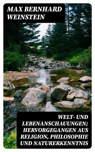 Max Bernhard Weinstein: Welt- und Lebenanschauungen; hervorgegangen aus Religion, Philosophie und Naturerkenntnis