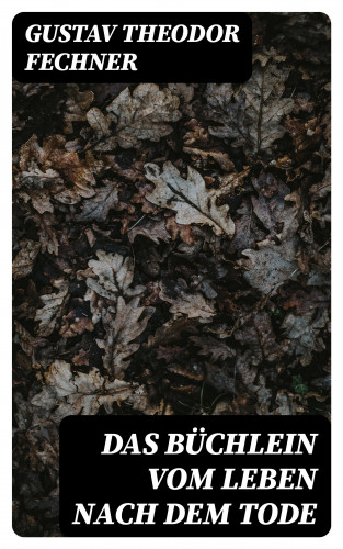 Gustav Theodor Fechner: Das Büchlein vom Leben nach dem Tode