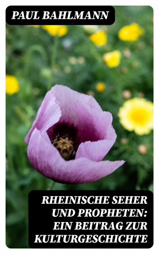 Paul Bahlmann: Rheinische Seher und Propheten: Ein Beitrag zur Kulturgeschichte