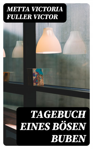 Metta Victoria Fuller Victor: Tagebuch eines bösen Buben