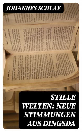 Johannes Schlaf: Stille Welten: Neue Stimmungen aus Dingsda
