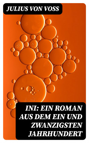 Julius von Voss: Ini: Ein Roman aus dem ein und zwanzigsten Jahrhundert
