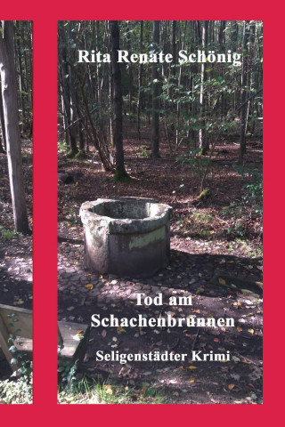 Rita Renate Schönig: Tod am Schachenbrunnen