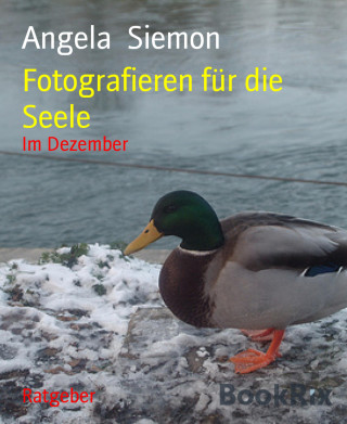 Angela Siemon: Fotografieren für die Seele