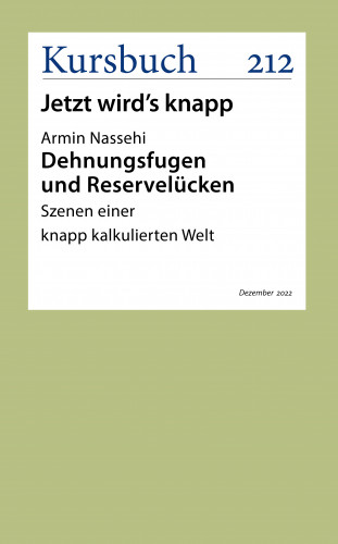 Armin Nassehi: Dehnungsfugen und Reservelücken