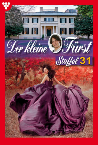 Viola Maybach: E-Book 301-310