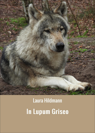 Laura Hildmann: In Lupum Griseo