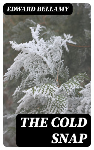 Edward Bellamy: The Cold Snap