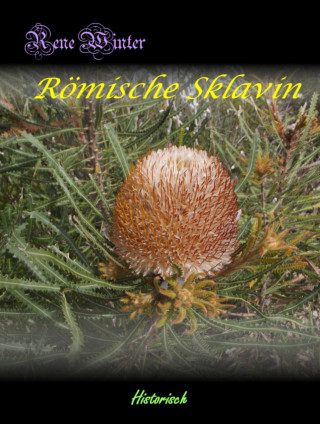 Rene Winter: Römische Sklavin