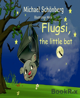 Michael Schönberg: Flugsi, the little bat