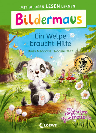 Daisy Meadows: Bildermaus - Ein Welpe braucht Hilfe