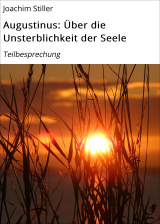 Joachim Stiller: Augustinus: Über die Unsterblichkeit der Seele