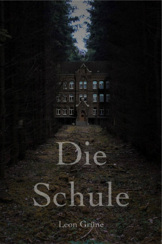 Leon Grüne: Die Schule
