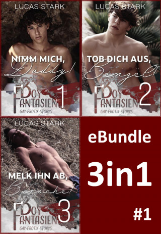 Lucas Stark: Boy Fantasien 1-3 eBundle