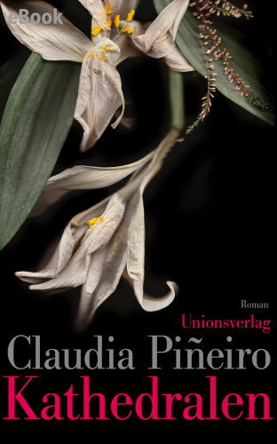 Claudia Piñeiro: Kathedralen