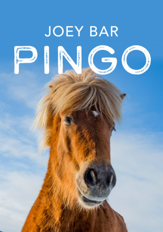 Joey Bar: Pingo