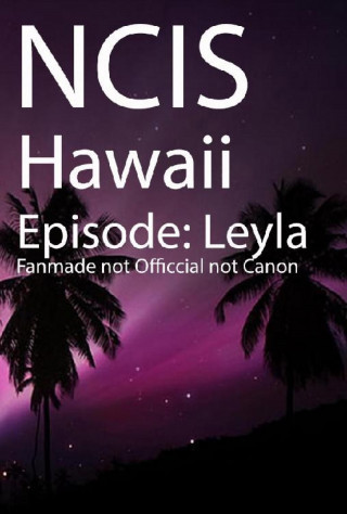 Heinz Poetter: NCIS Hawaii - Episode "Leyla"
