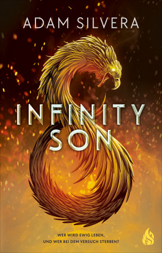 Adam Silvera: Infinity Son (Bd. 1)