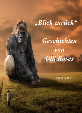 Olli Roses: Blick zurück