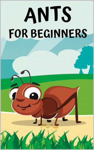 Thorsten Hawk: Ants for beginners