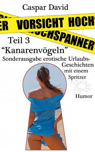 Caspar David: Vorsicht Hochspanner