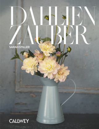 Sarah Stiller: Dahlienzauber