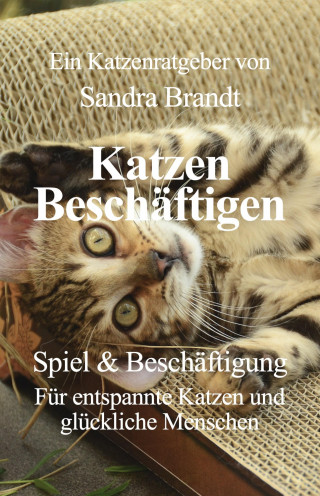 Sandra Brandt: Katzen Beschäftigen