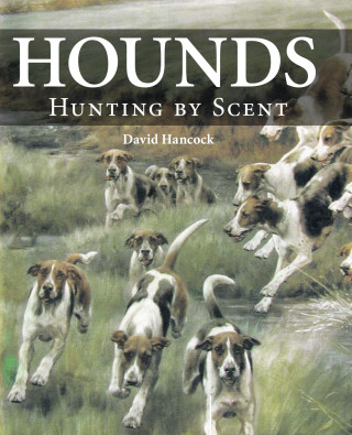 David Hancock: Hounds