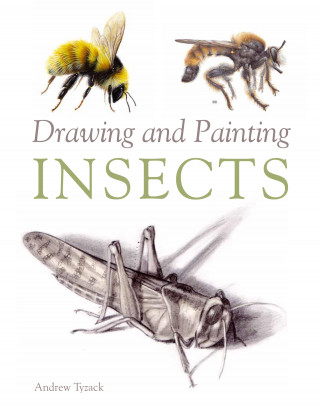 Andrew Tyzack: Drawing and Painting Insects
