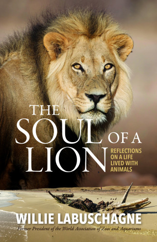 Willie Labuschagne: The Soul of a Lion