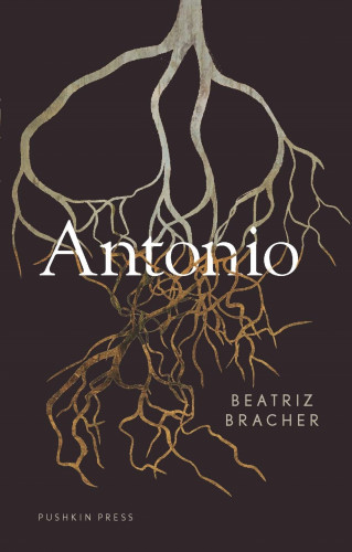 Beatriz Bracher: Antonio