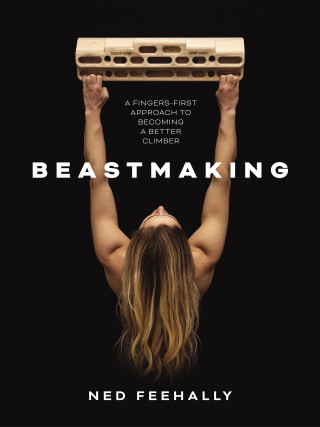 Ned Feehally: Beastmaking
