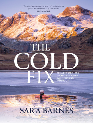 Sara Barnes: The Cold Fix