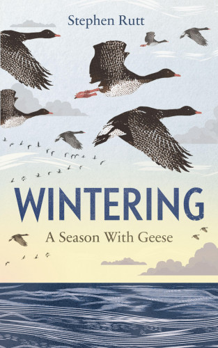 Stephen Rutt: Wintering