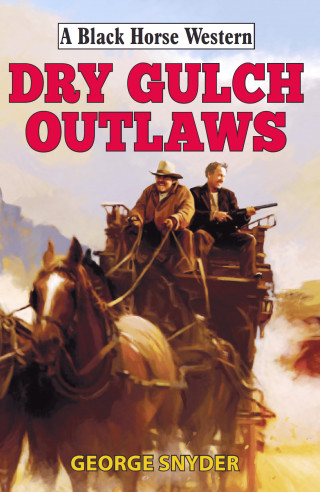 George Snyder: Dry Gulch Outlaws