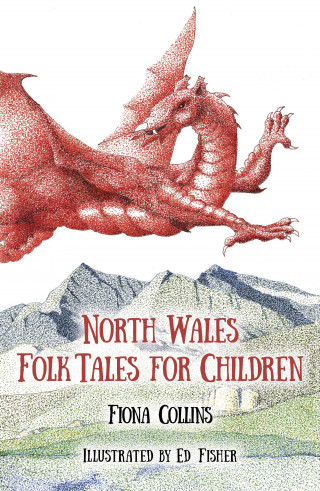 Fiona Collins: North Wales Folk Tales for Children