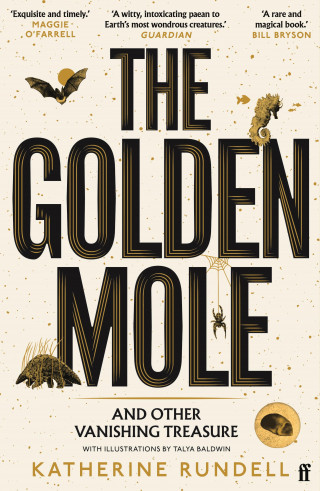 Katherine Rundell: The Golden Mole