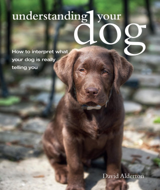David Alderton: Understanding Your Dog