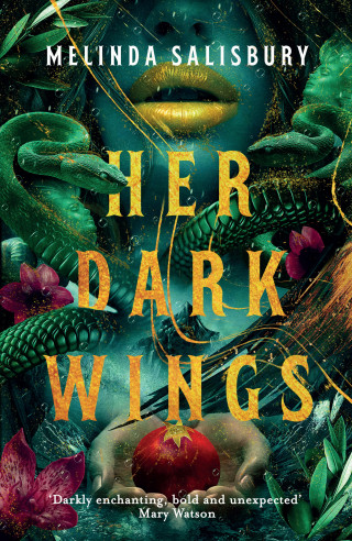 Melinda Salisbury: Her Dark Wings