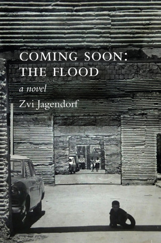 Zvi Jagendorf: Coming Soon: The Flood