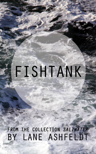 Lane Ashfeldt: Fishtank
