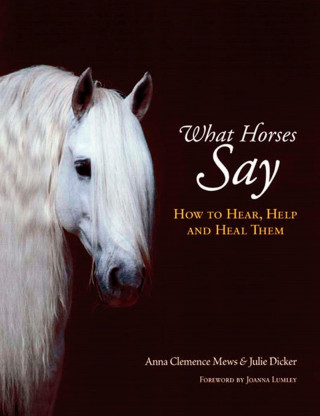 JULIE DICKER: WHAT HORSES SAY