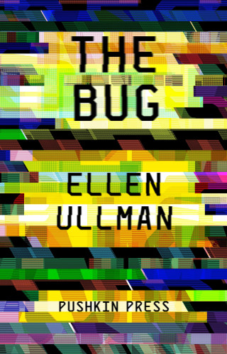 Ellen Ullman: The Bug