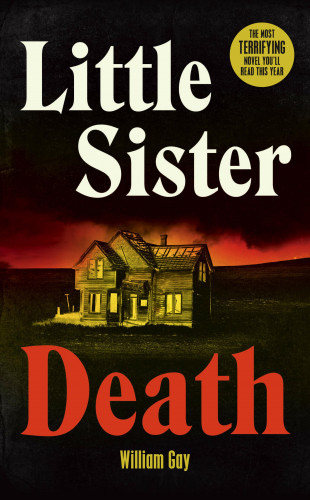 William Gay: Little Sister Death