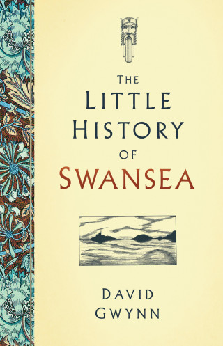David Gwynn: The Little History of Swansea
