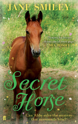 Jane Smiley: Secret Horse